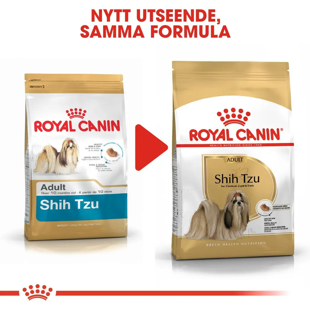 Shih Tzu Adult Kuivaruoka koirille