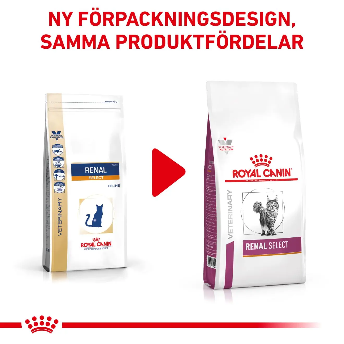 Renal Select kissan kuivaruoka