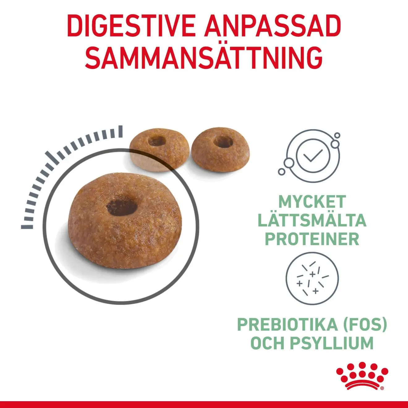 Digestive Care Adult kissan kuivaruoka