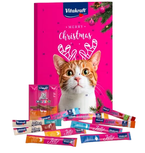 Adventskalender for katter