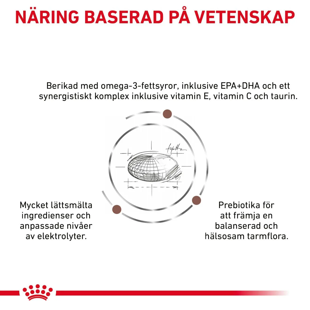 Gastrointestinal Low Fat Torrfoder för hund