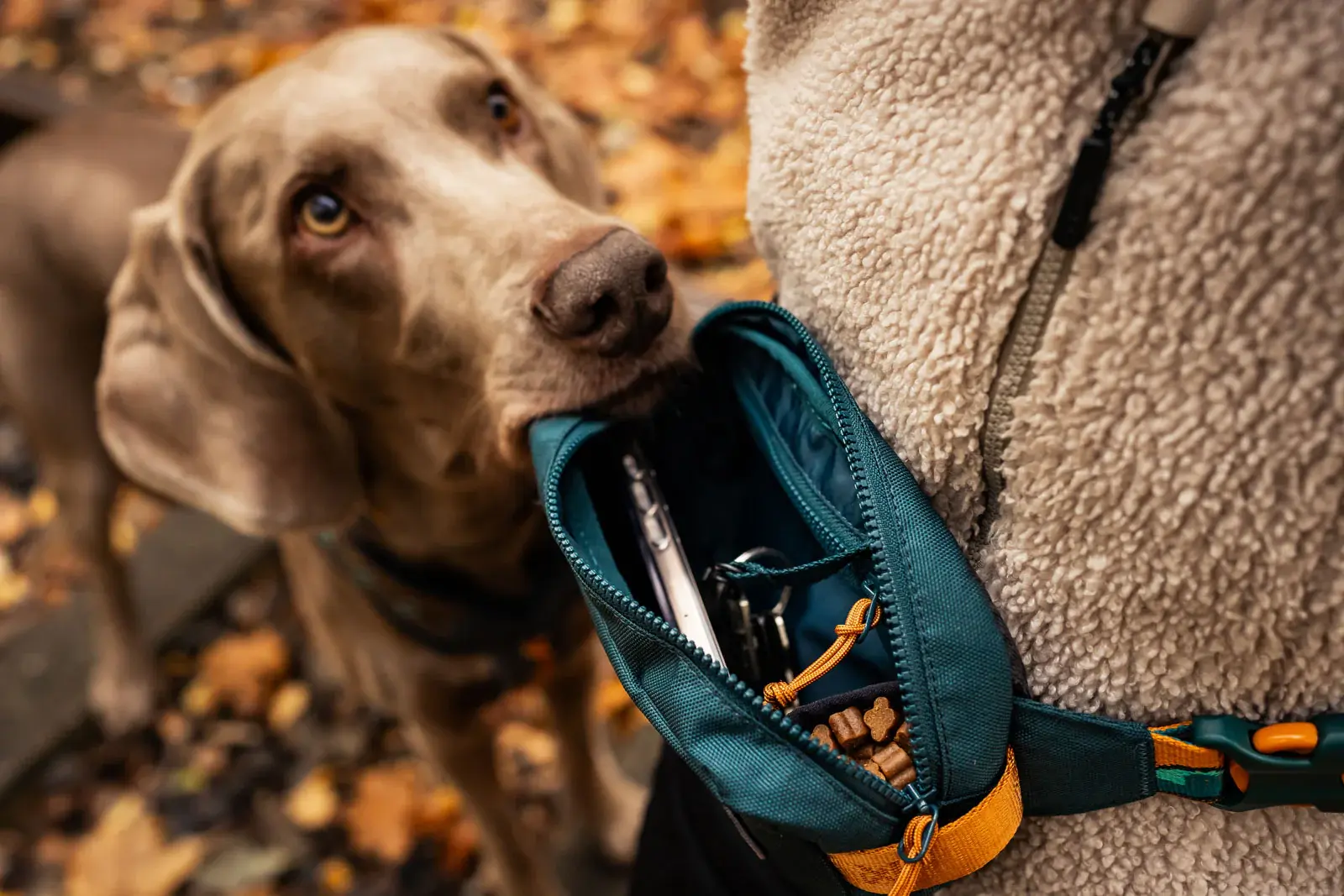Trail quest rumpetaske Rachel Pohl edition one size