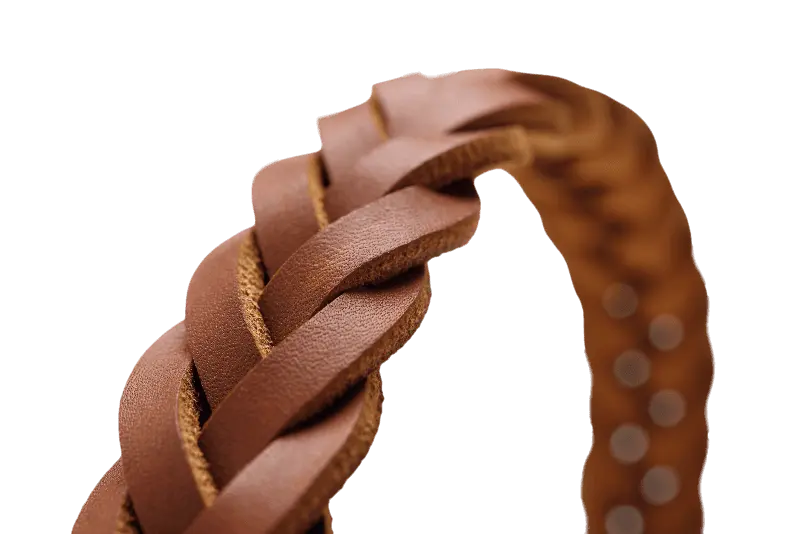 Hundhalsband Solid Education Special Cognac