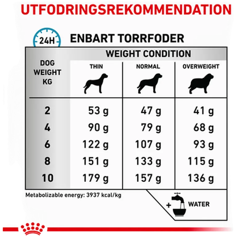 Derma Skin Care Small Dog kuivaruoka koirille