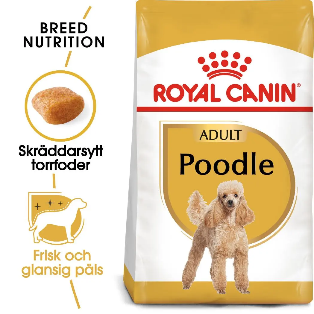 Poodle Adult Dry food koirille