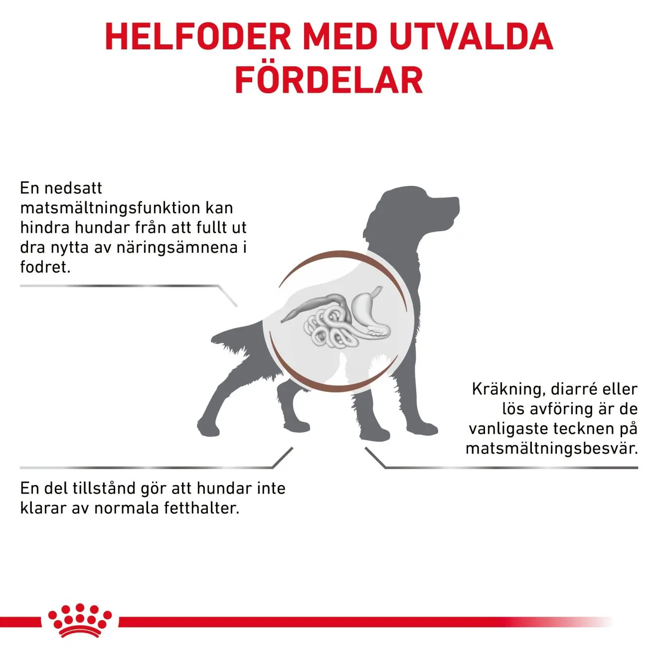Gastrointestinal Low Fat Loaf Våtfoder för hund