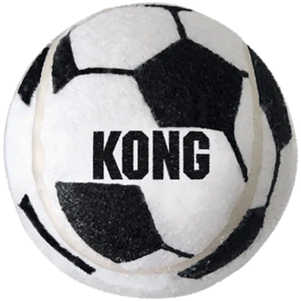 Sport Balls Dog Toy