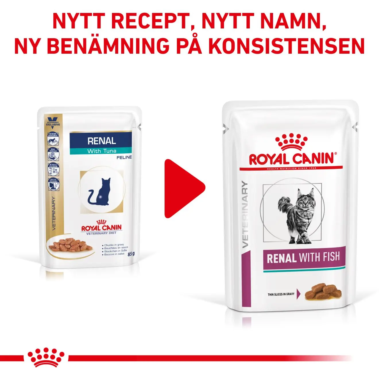 Renal kissan märkäruoka