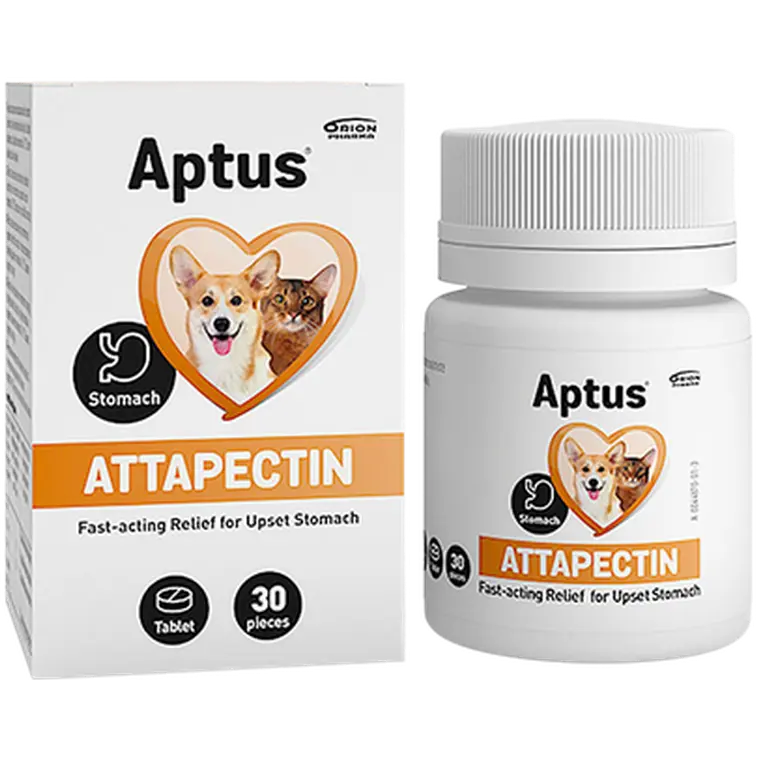 Attapectin 30 kpl