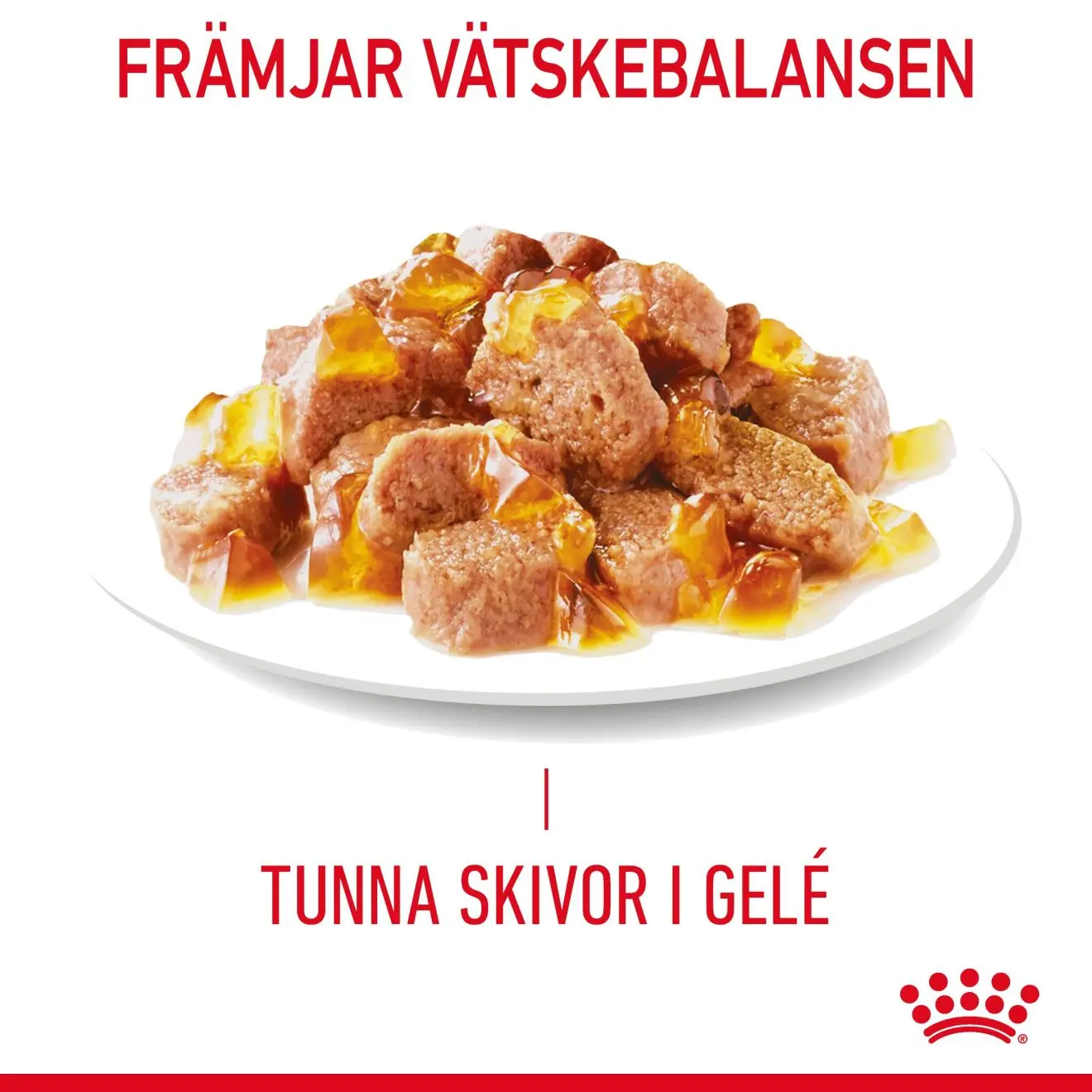 Ultra Light Jelly Adult kissan märkäruoka