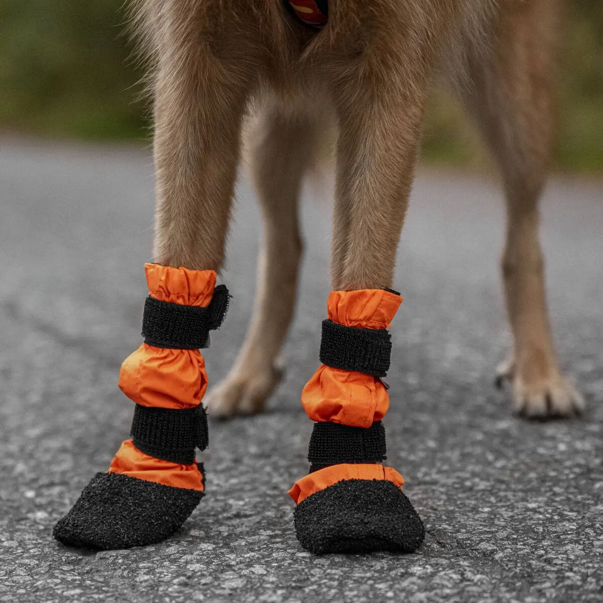 Hundsko Halla Sulo 2-Pack
