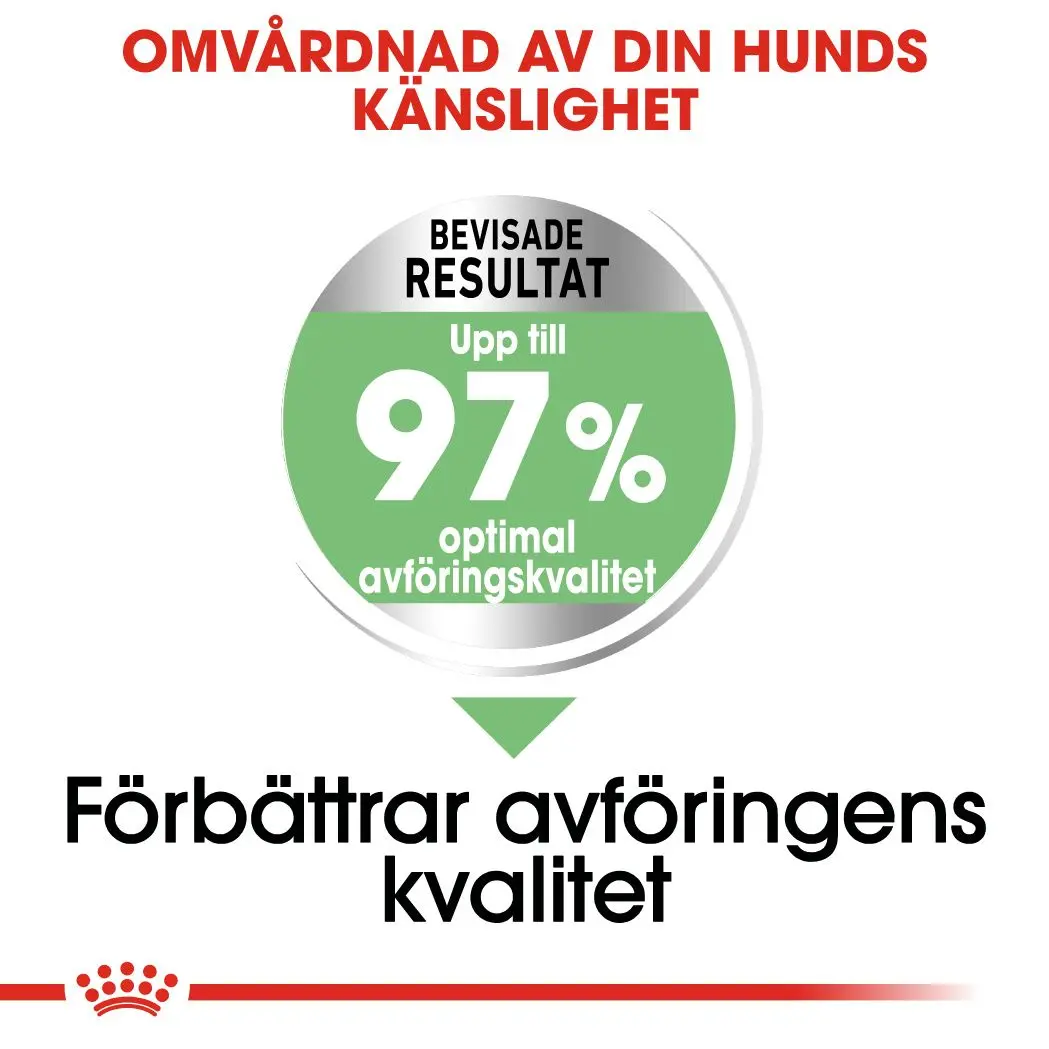 Digestive Care Adult Maxi kuivaruoka koirille