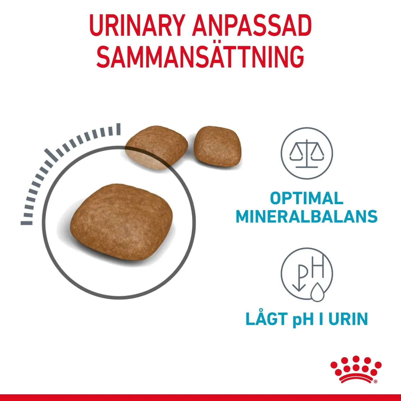 Urinary Care Adult kissan kuivaruoka