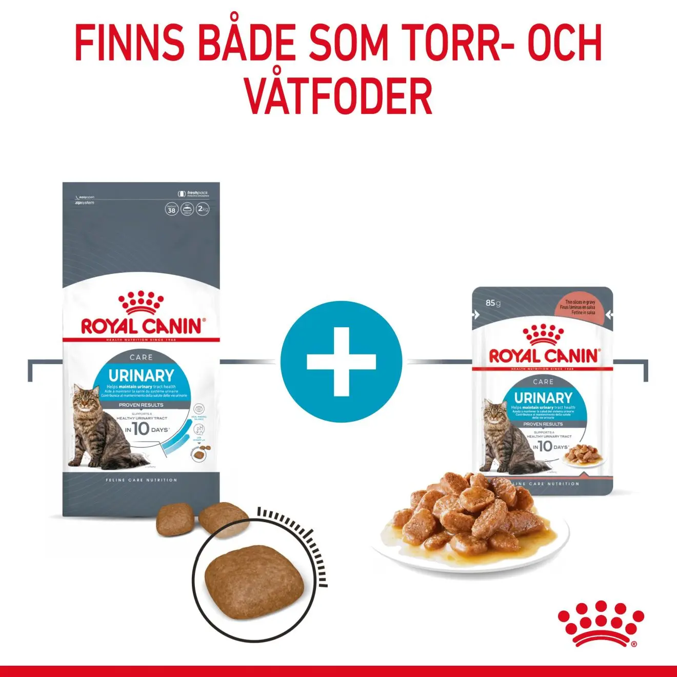 FCN Urinary Care Gravy Adult kissan märkäruoka