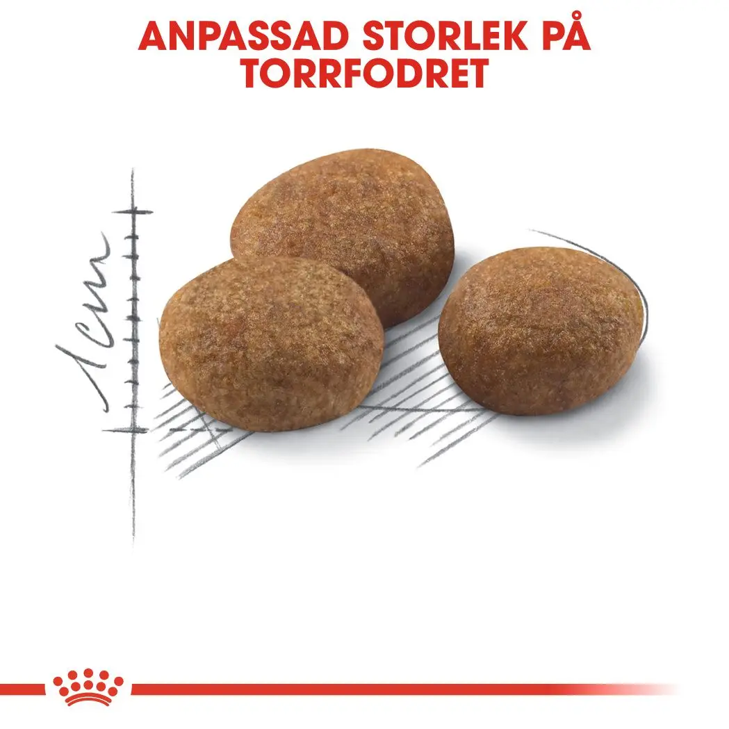 Sterilised 7+ Ageing kissan kuivaruoka