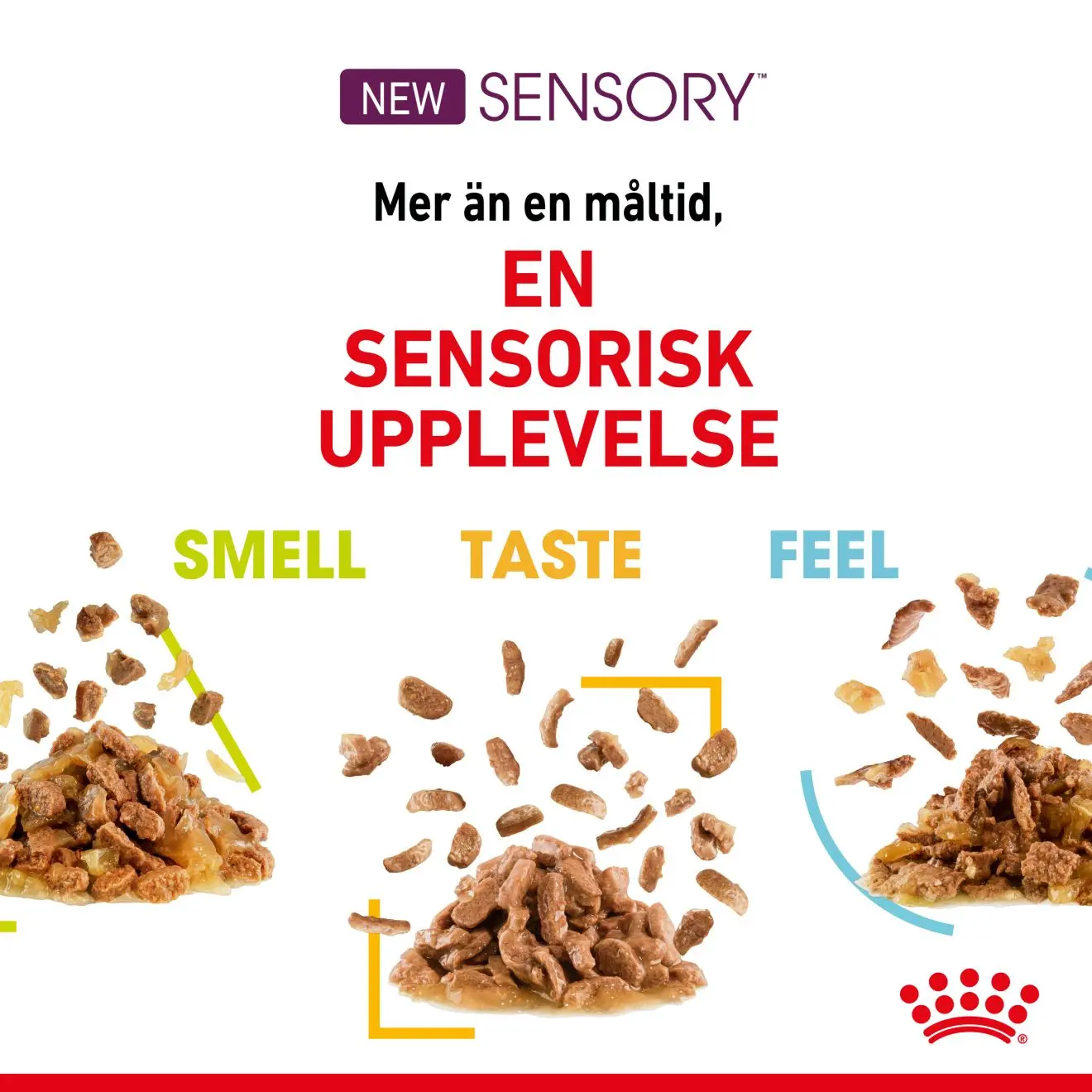 Sensory Feel Gravy Adult kissan märkäruoka