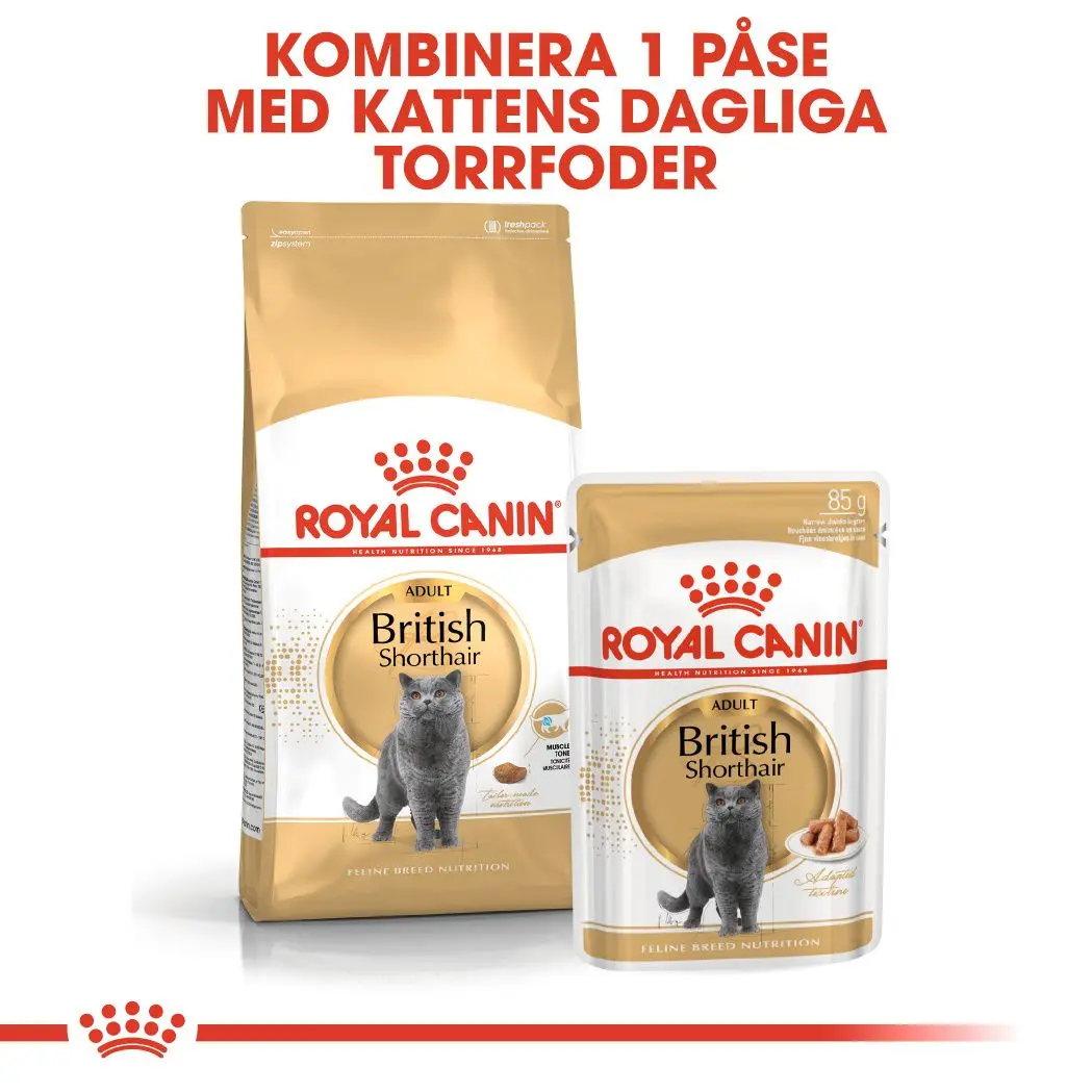 British Shorthair Adult kissan märkäruoka