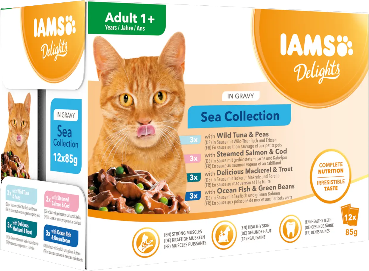 Cat Delights Gravy Multipack Sea 12x85g (Kissan herkut)