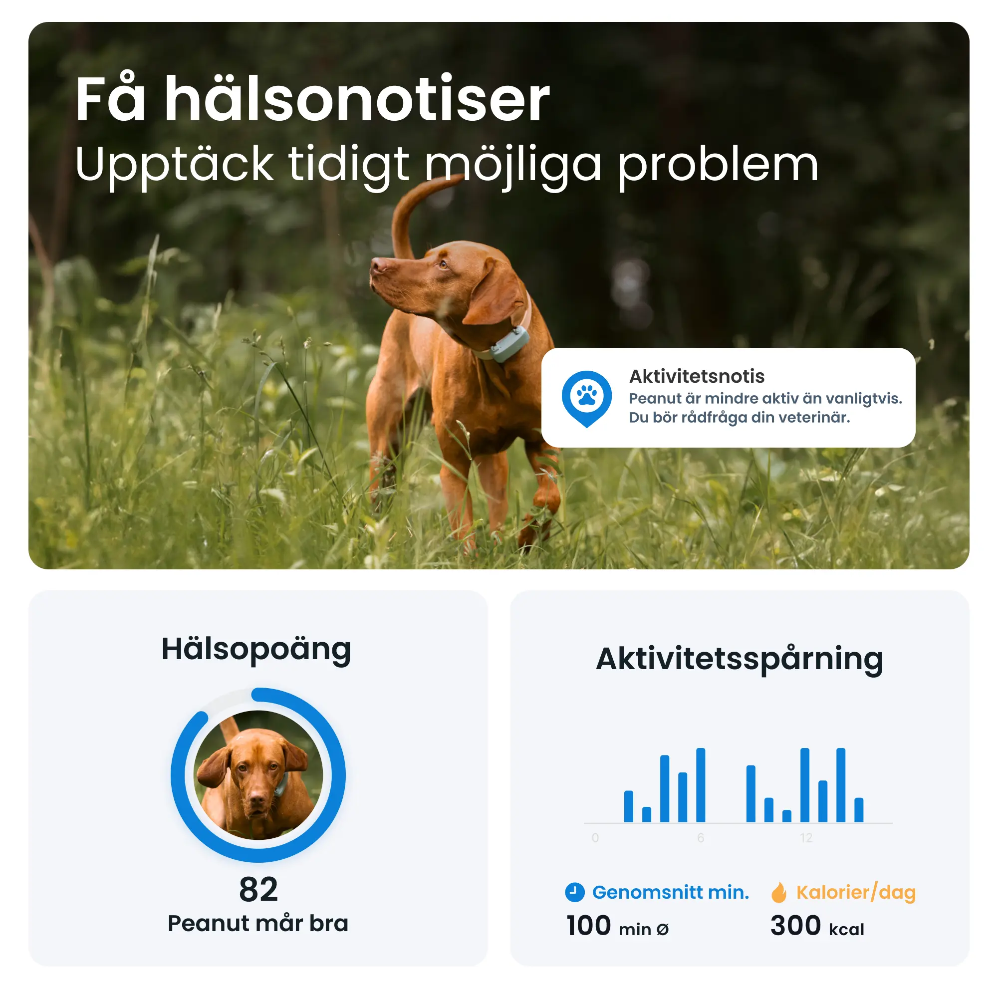 GPS-paikannin koiralle Koira 6 - Minttu