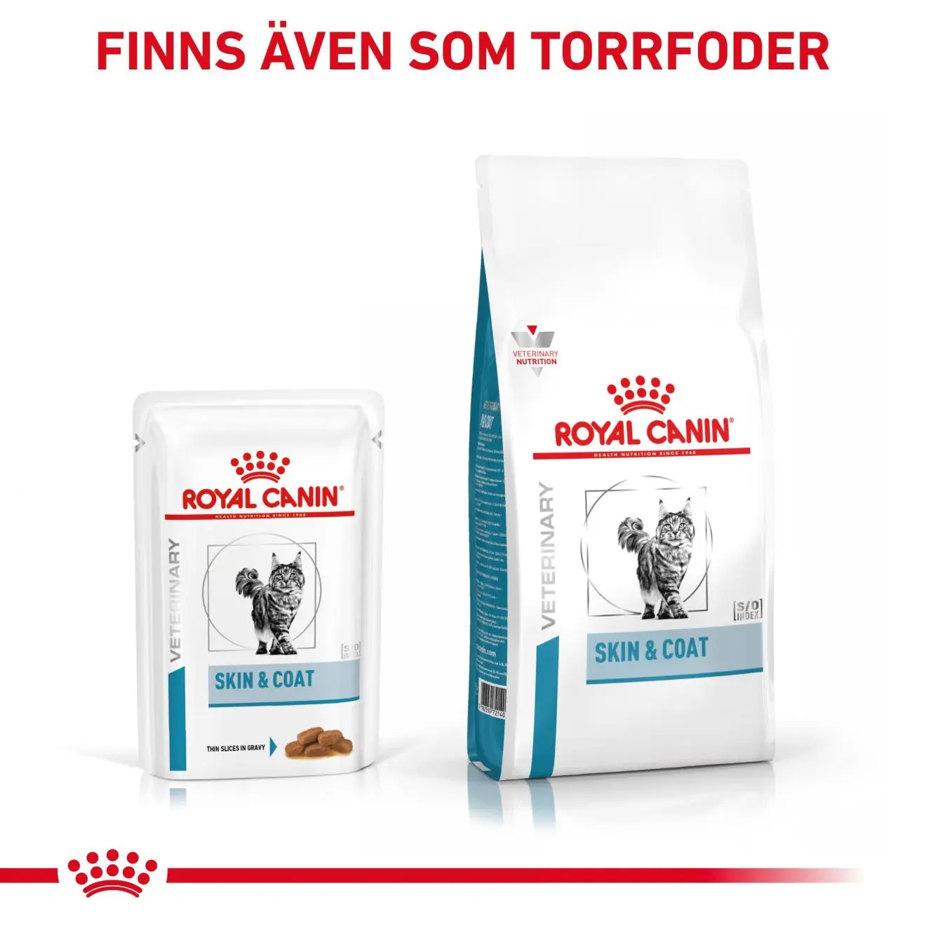 Derma Skin & Coat Pouch kissan märkäruoka