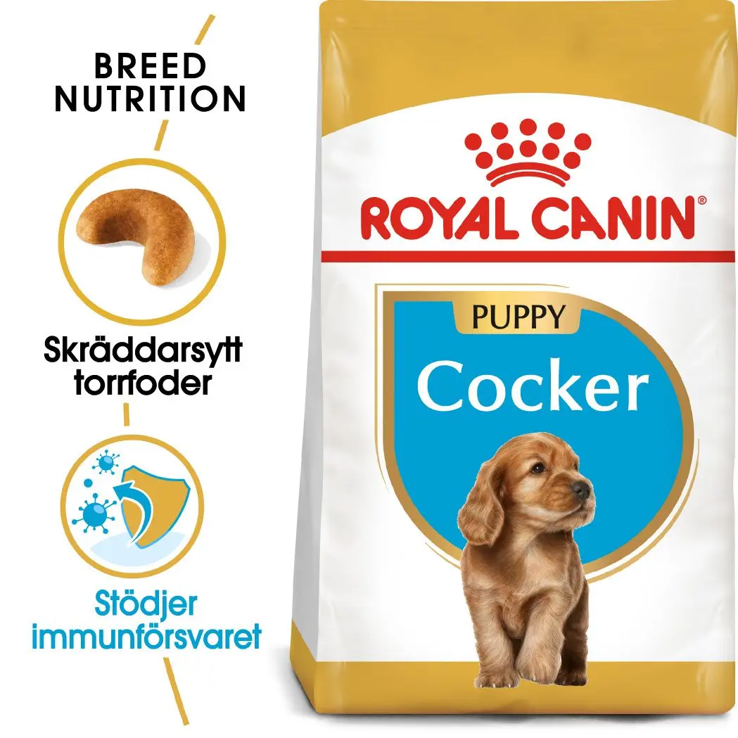 Cocker Spaniel Puppy Kuivaruoka pennuille