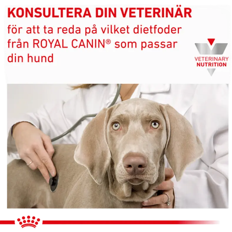 Vital Renal Märkäruoka koirille