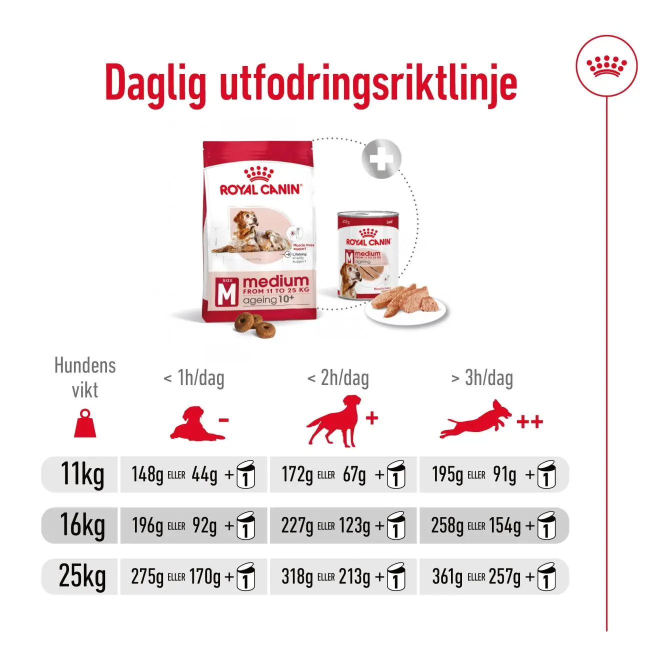 Keski-ikäinen 10+ ikäinen Kuivaruoka koirille