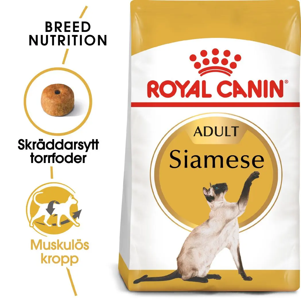 Siamese Adult kissan kuivaruoka