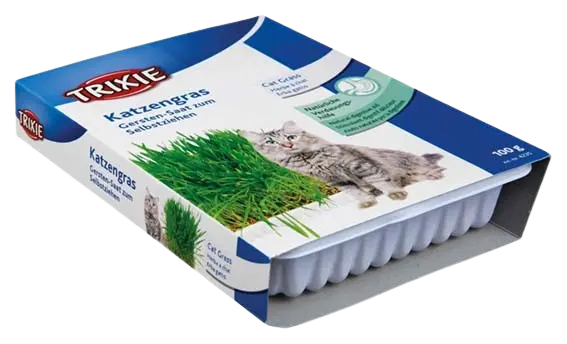 Kattemynte med vekstboks 100 g
