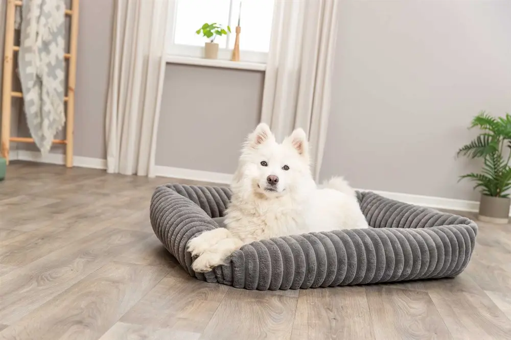 Lonni Bed Manchester Plush suorakulmainen harmaa