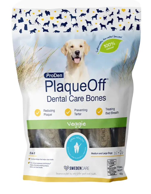Dental Care Bones Veggie 482g