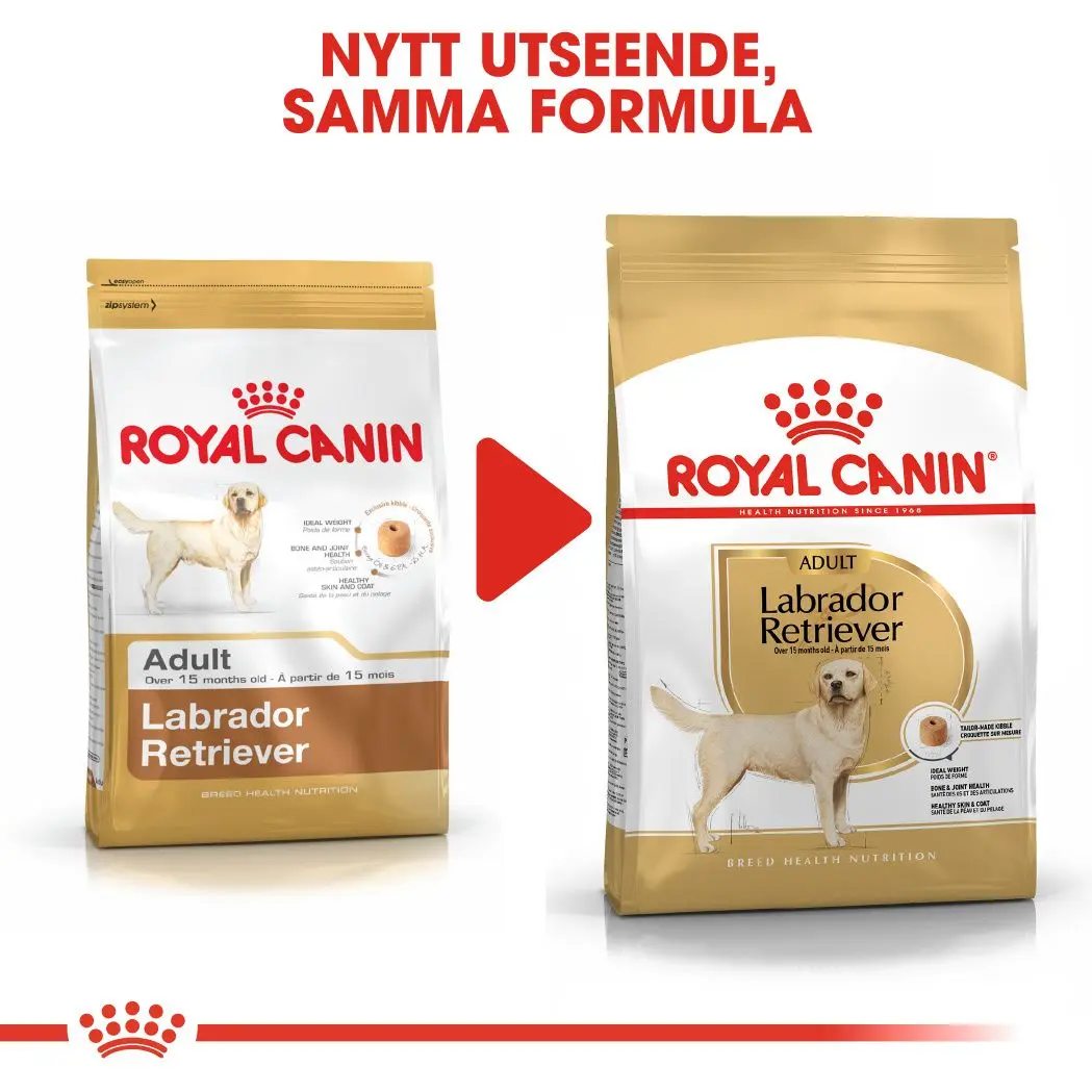 Labradorinnoutaja Aikuisten kuivaruoka koirille
