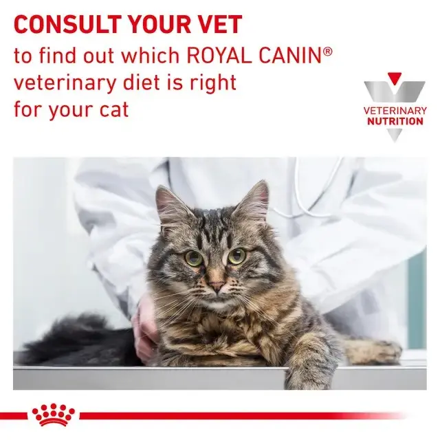 Royal Canin Veterinary Diets Cat Gastrointestinal Hairball – torrfoder