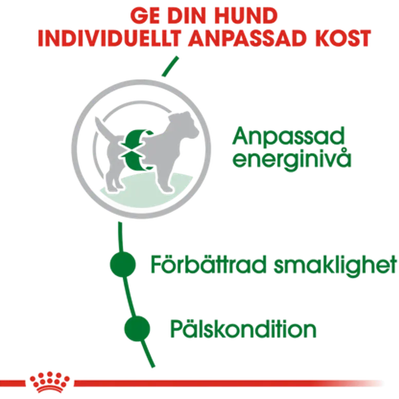 Mini Adult Torrfoder för hund