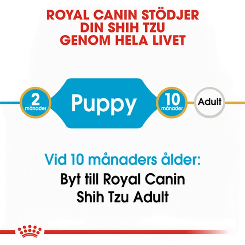 Shih Tzu Puppy Kuivaruoka pennuille