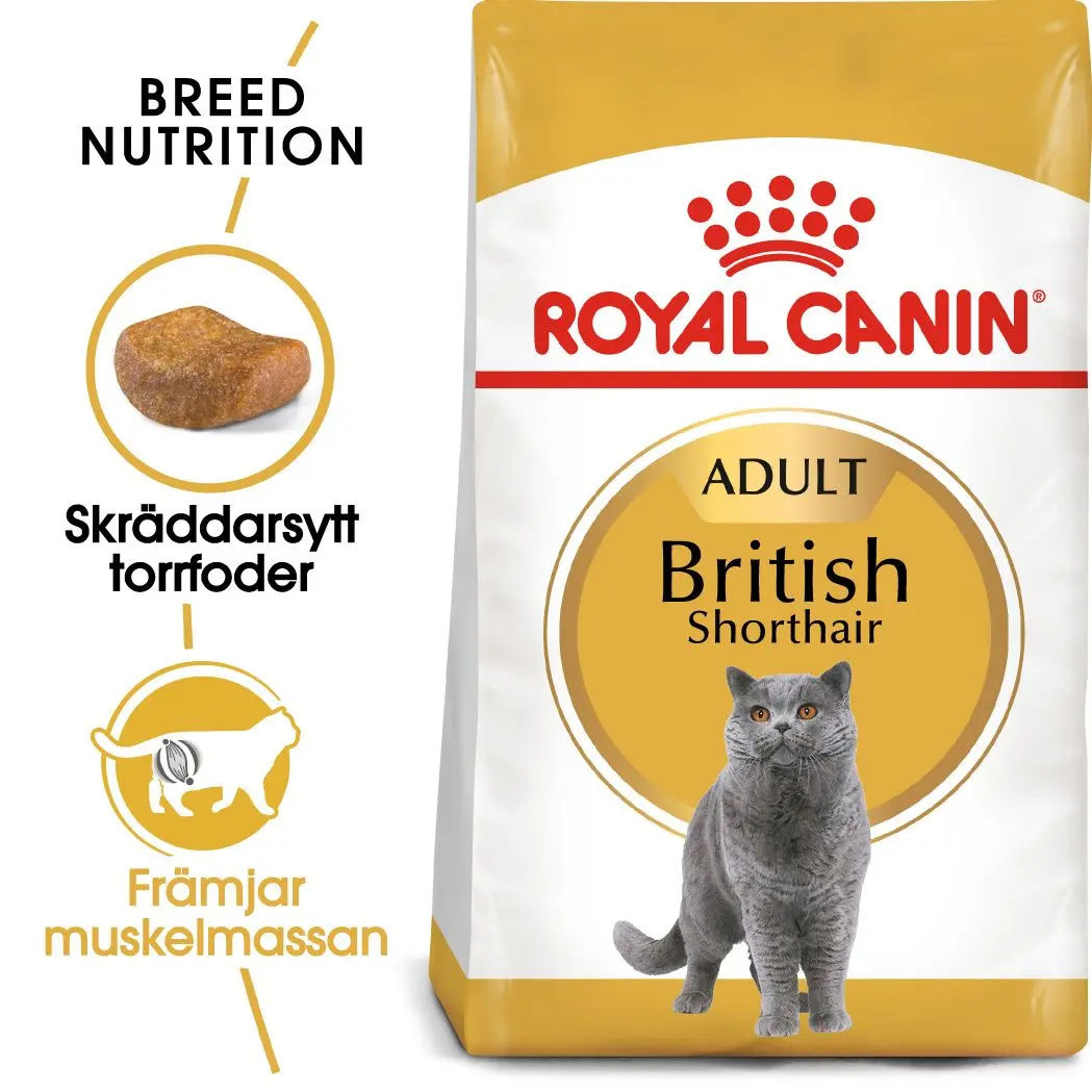 British Shorthair Adult kissan kuivaruoka