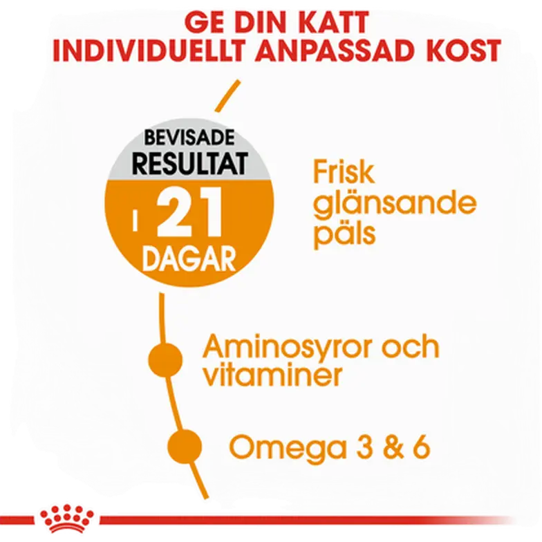 Hair & Skin Care Adult kissan kuivaruoka