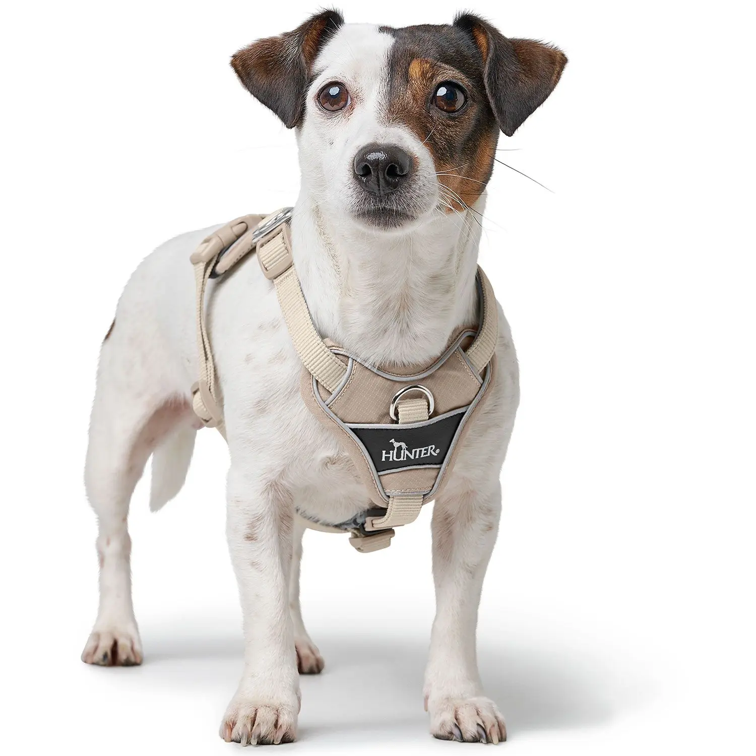 Harness Divo Up Polyester taupe