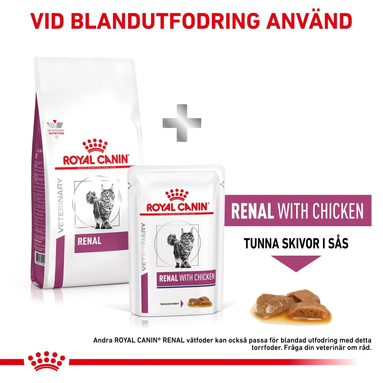Renal Torrfoder för katt