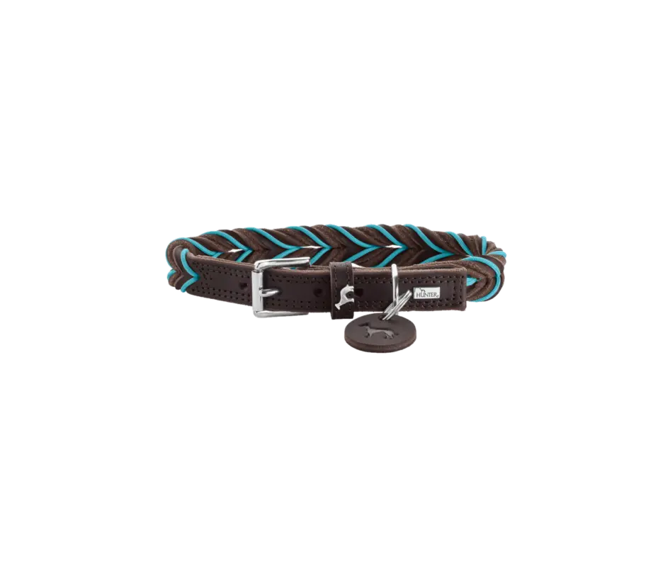 Dog Collar Solid Education Cord Cow Leather Dark Brown/Turquoise XS 40cm