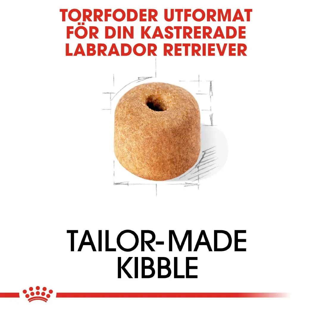 Labradorinnoutaja steriloitu aikuisten kuivaruoka