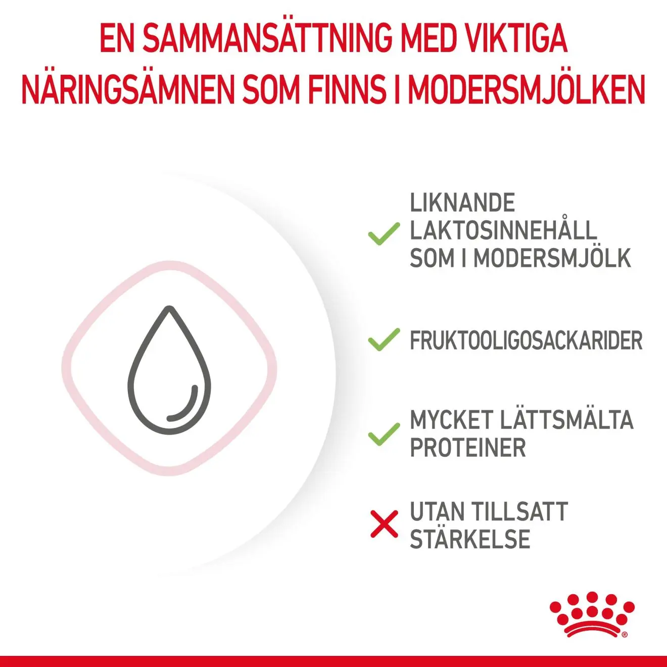 Babycat Milk Starter maito kissanpennulle