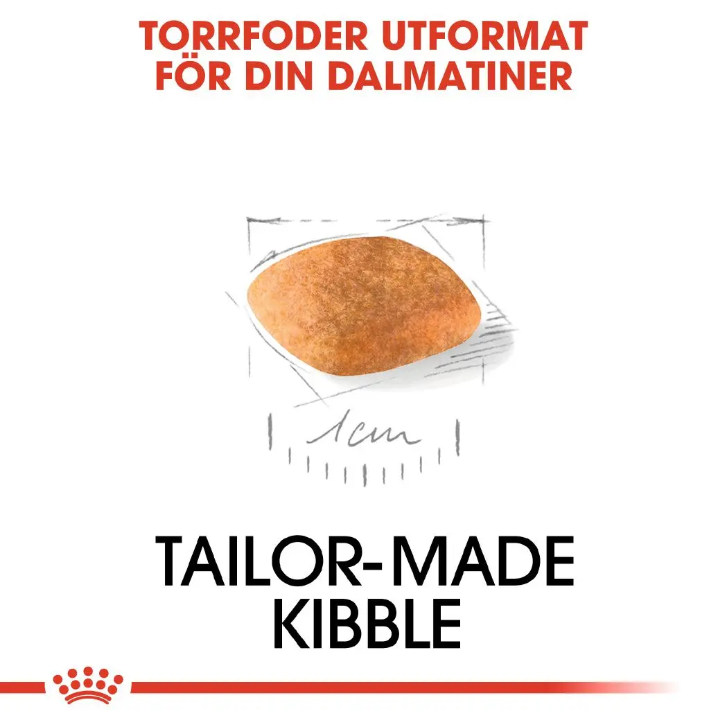 Dalmatiner valp