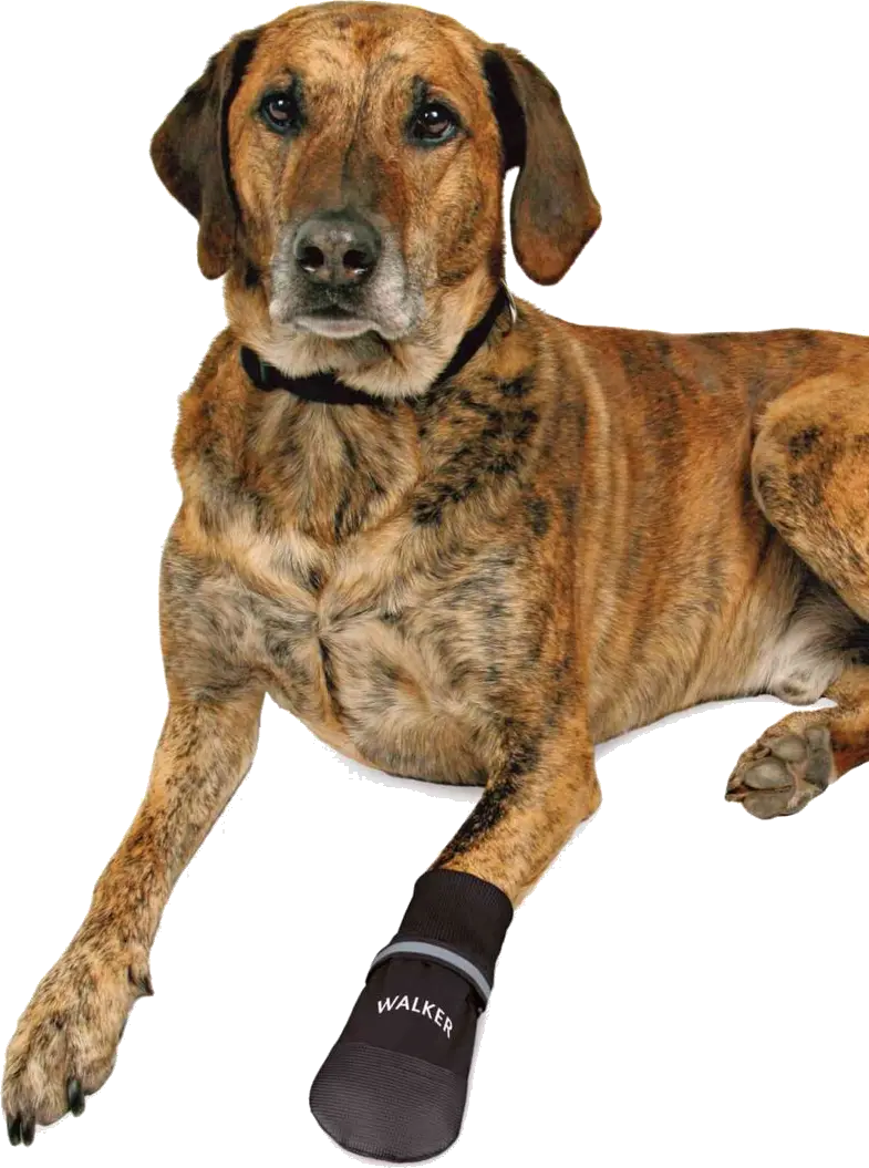 Walker Care Comfort Protective Boots 2-Pack