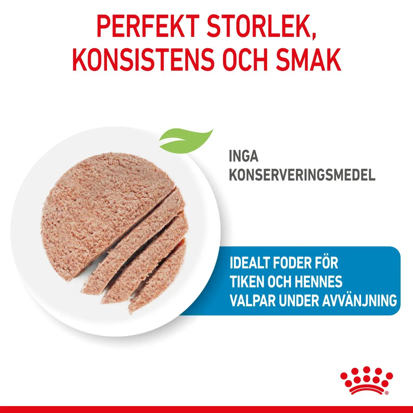 Wet Starter Mousse Märkäruoka koirille
