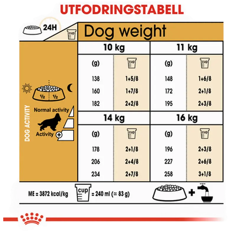 Cocker Spaniel Adult Dry food koirille