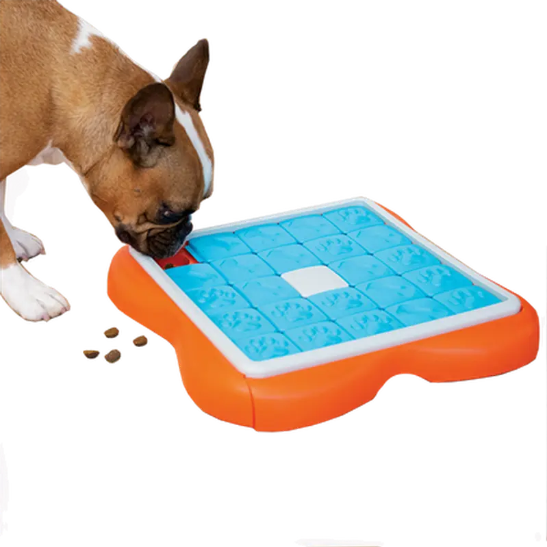 Dog Challenge Slider Level 3 Advanced - Hund