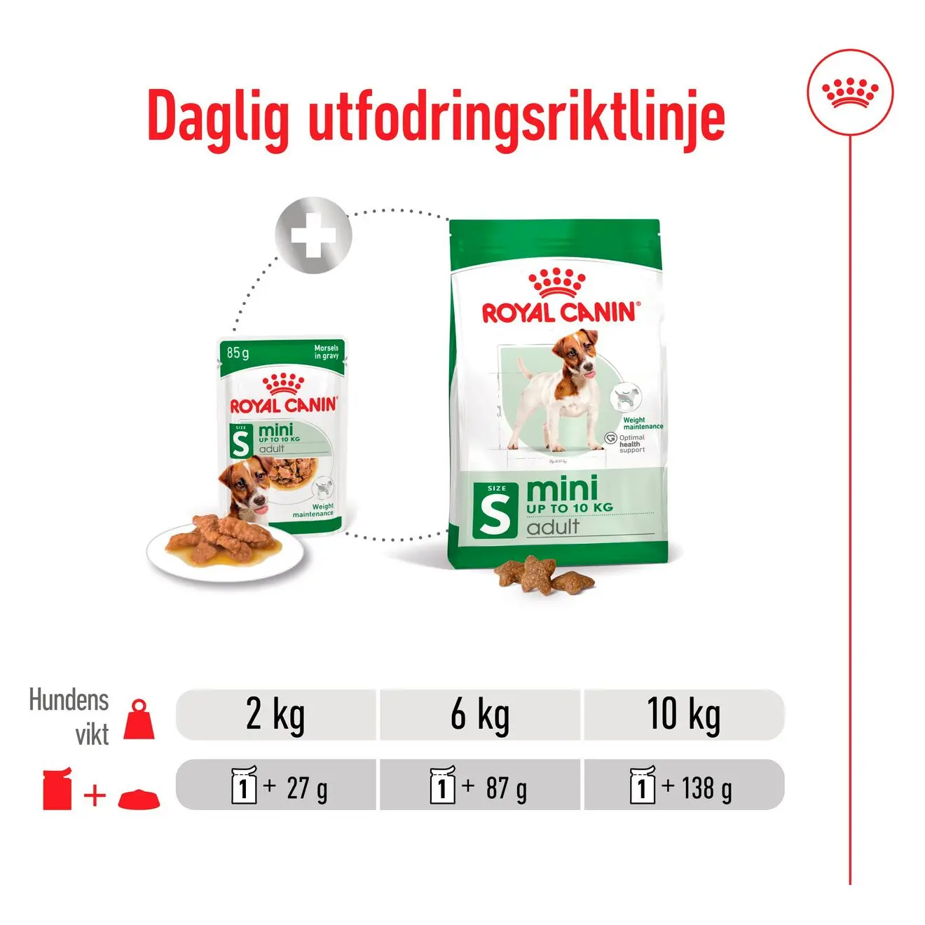 Mini Adult Märkäruoka koirille