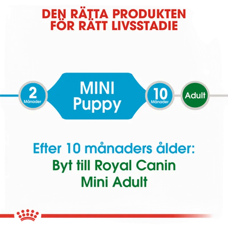 Mini Puppy Torrfoder för hundvalp