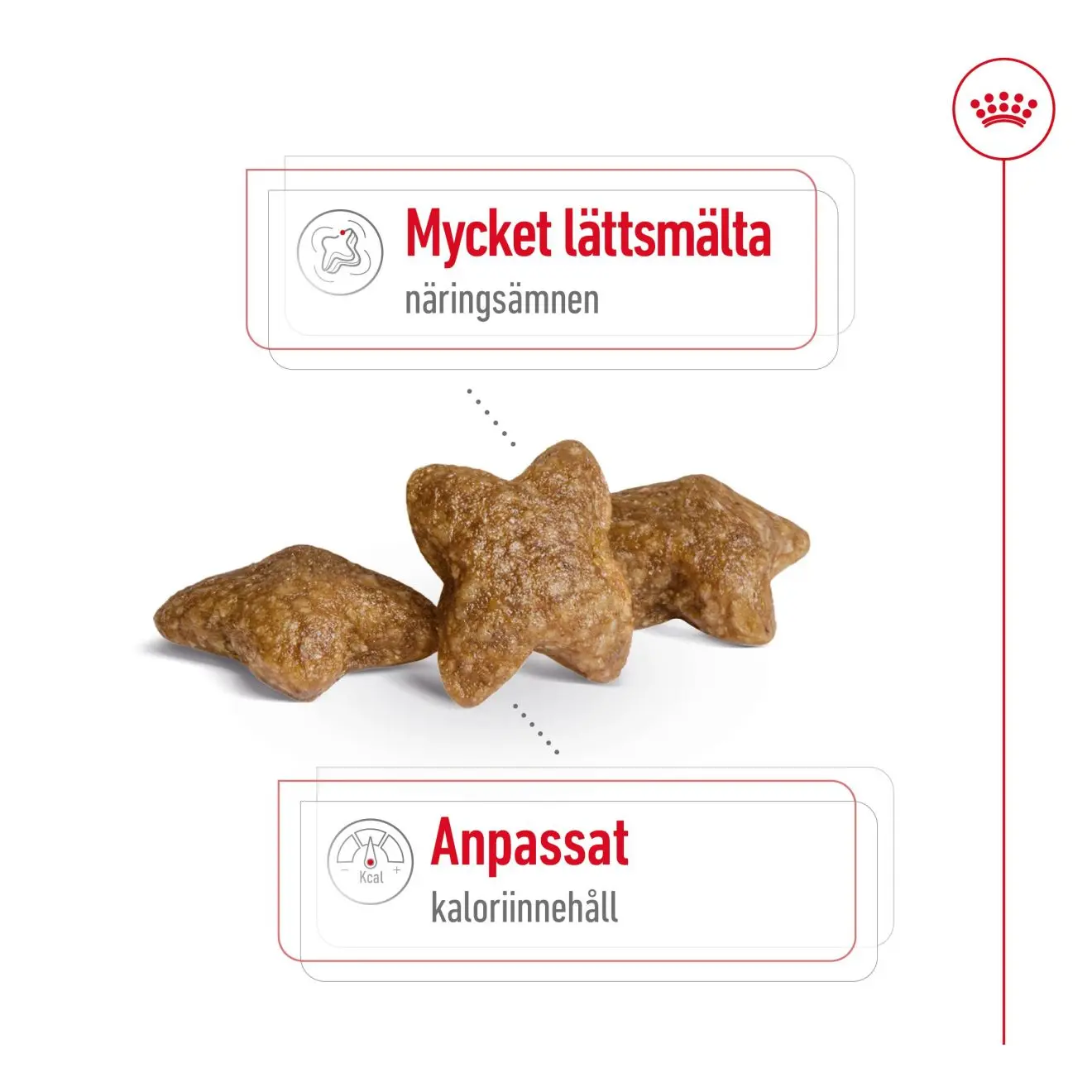 Mini Adult Torrfoder för hund